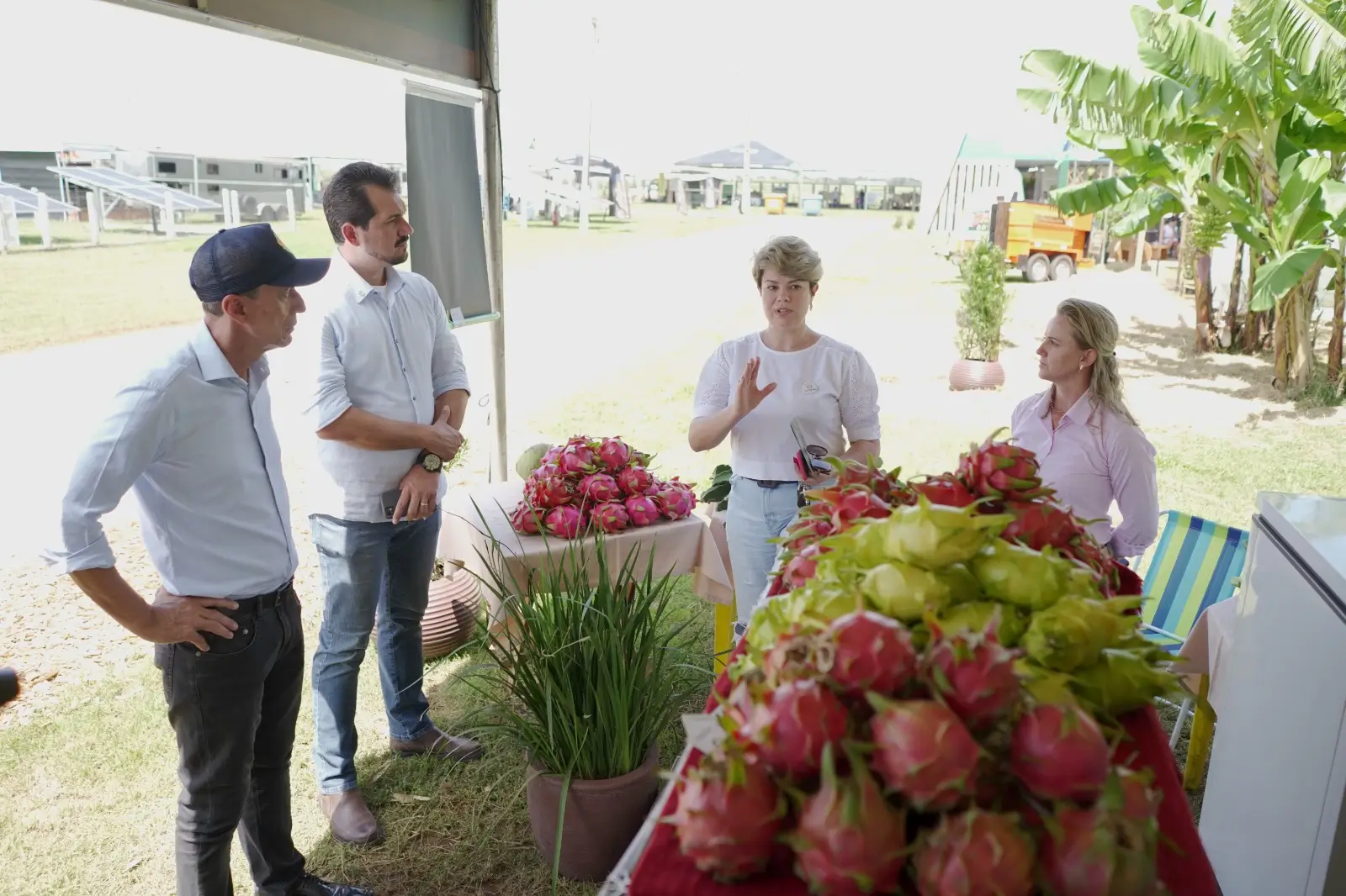 Show Safra 2023: iniciativa amplia exposição e comercialização de produtos da agricultura familiar