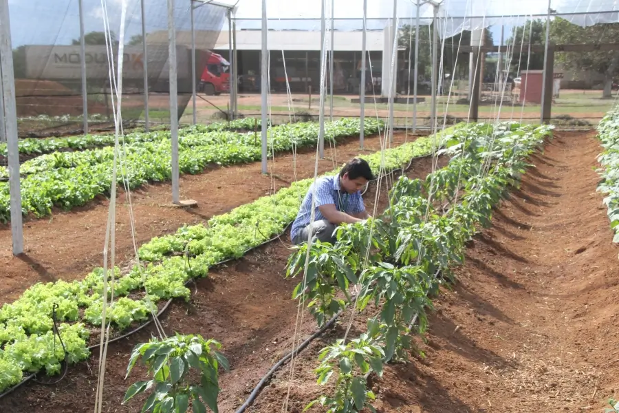 Palestras para a Agricultura Familiar e do ministro do TCU encerram o Show Safra 2019