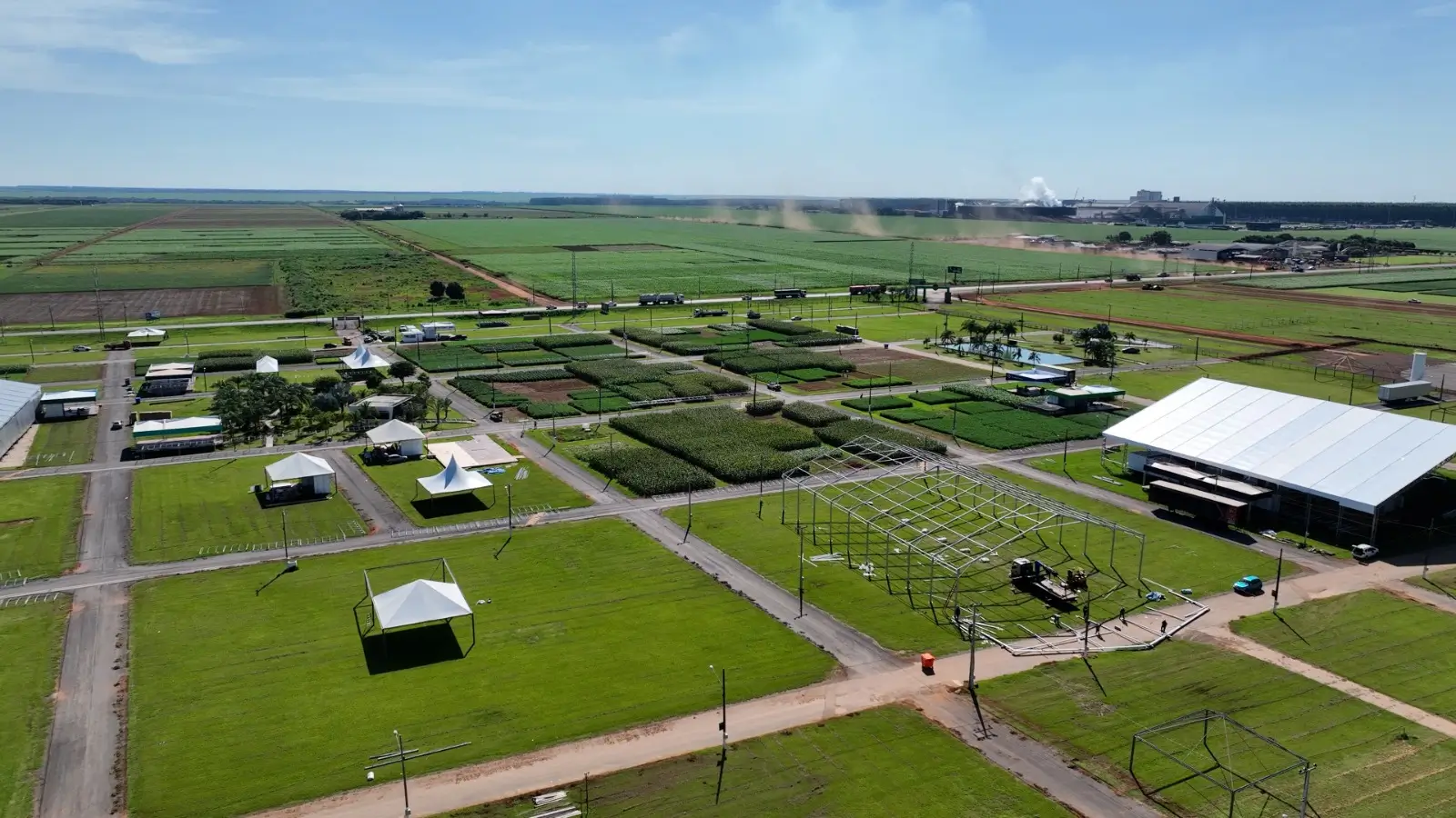 SHOW SAFRA: Palestras técnicas abrangem controle de doenças, manejo e uso de biotecnologias
