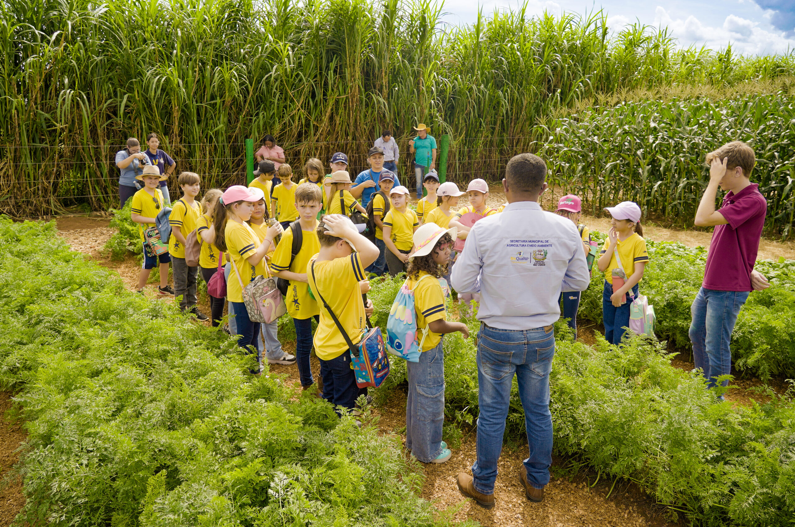 Show Safra Agro 360° reforça protagonismo da agricultura familiar