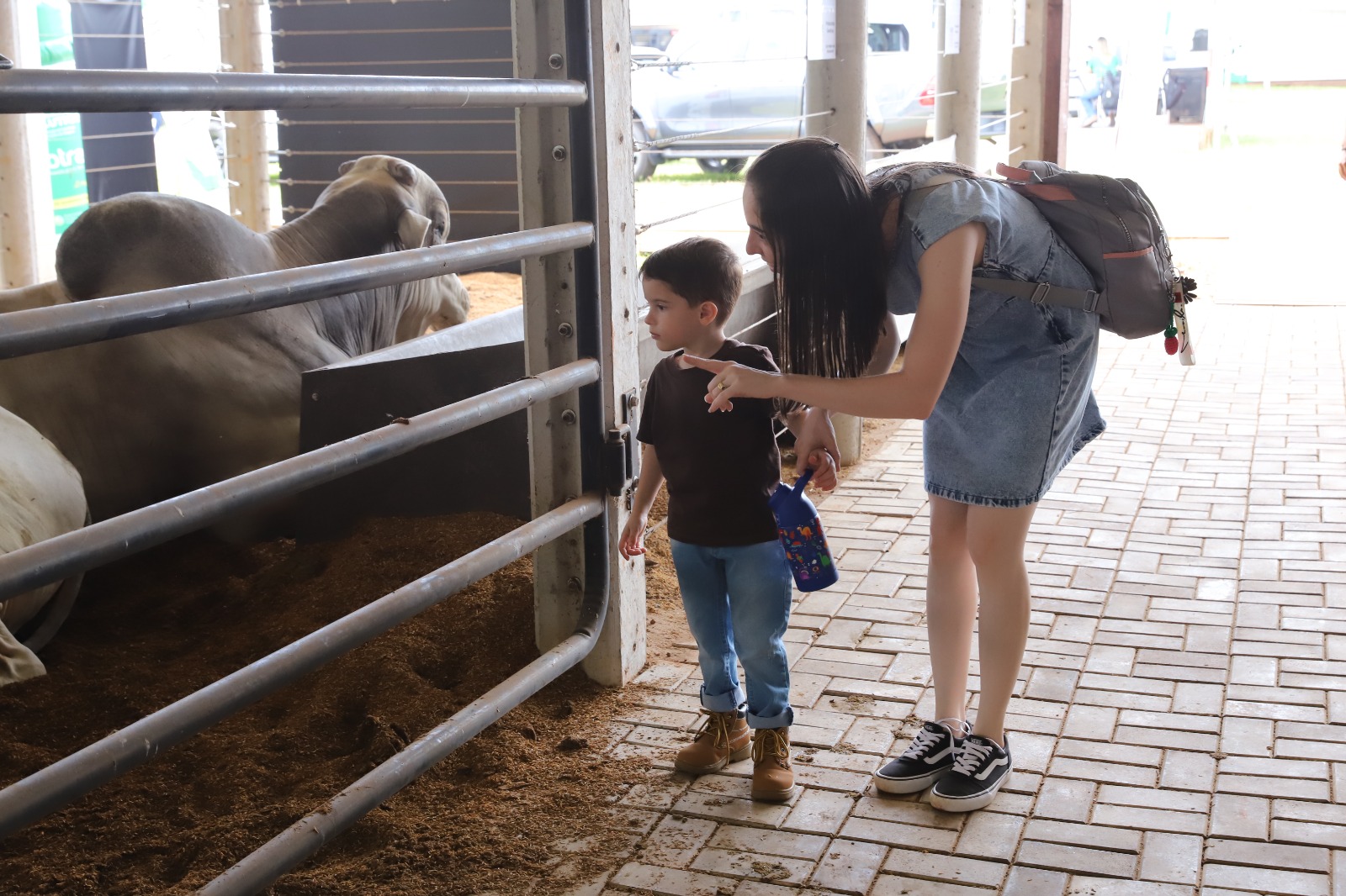 Show Safra Pecuária 2026 unirá genética, negócios e atrações para a família