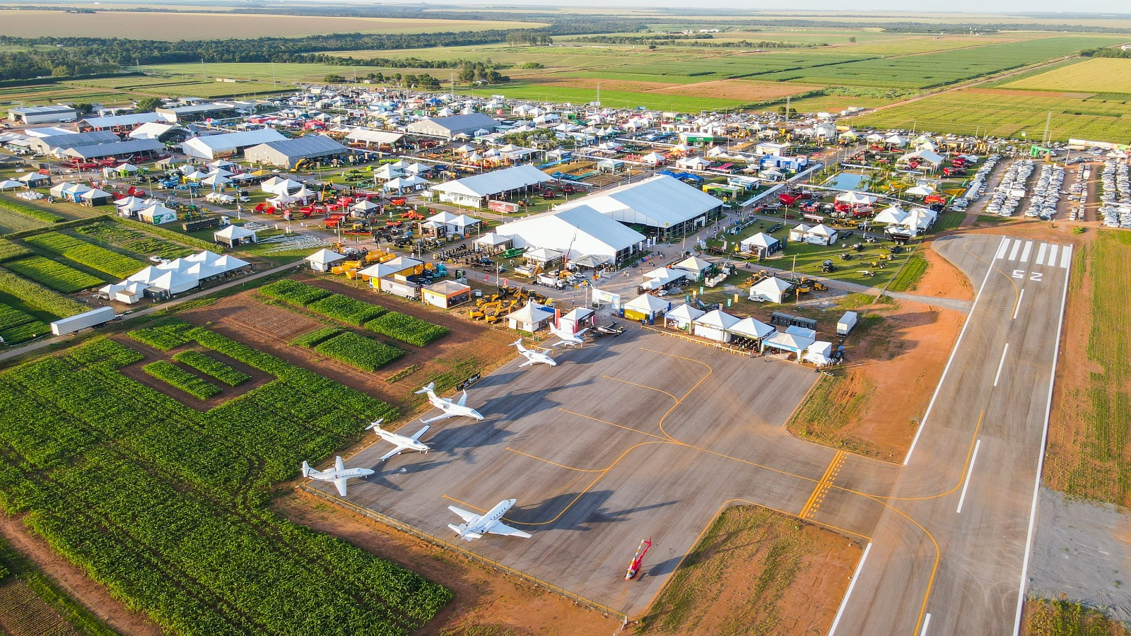Show Safra Mato Grosso 2026: Onde a produção vira oportunidade